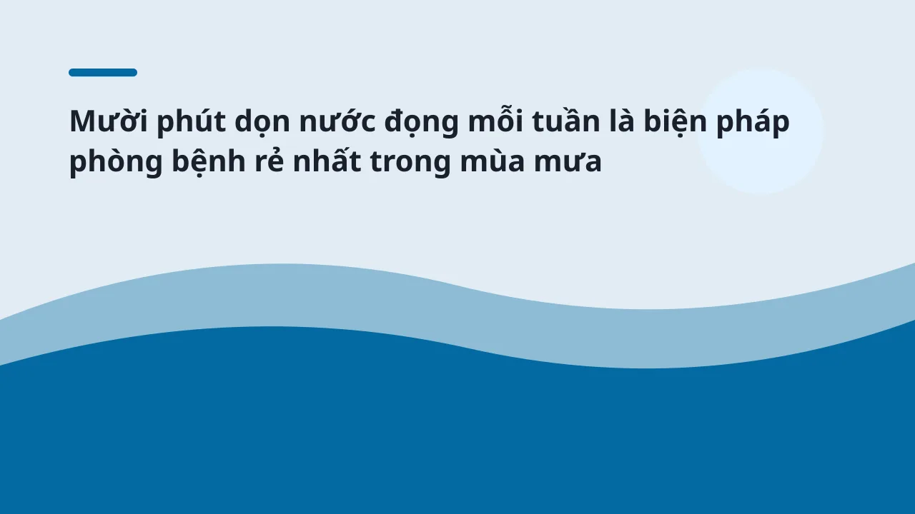 Mười phút dọn nước đọng mỗi tuần là biện pháp phòng bệnh rẻ nhất trong mùa mưa